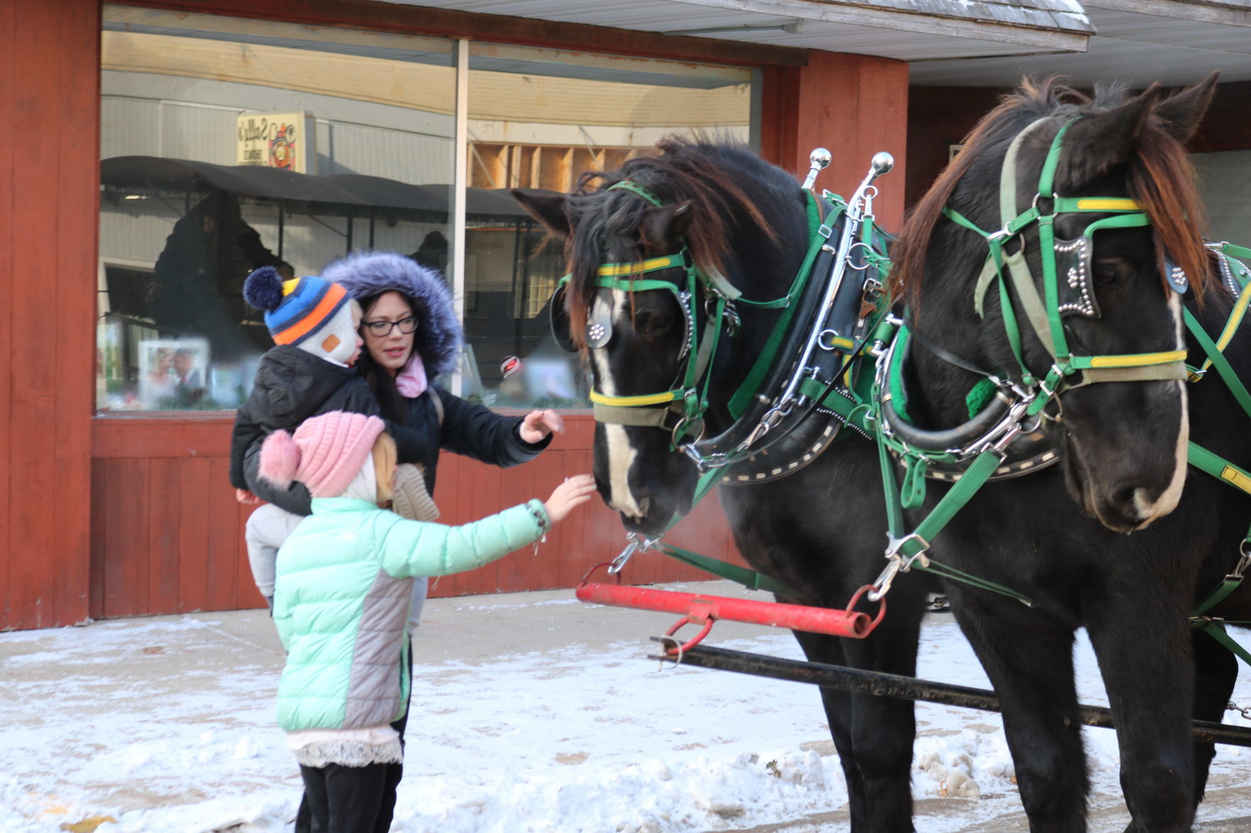 Forest City Christmas-3